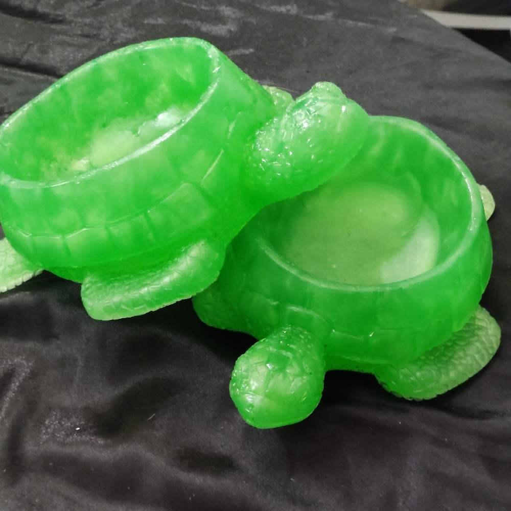 Green Turtle Dish